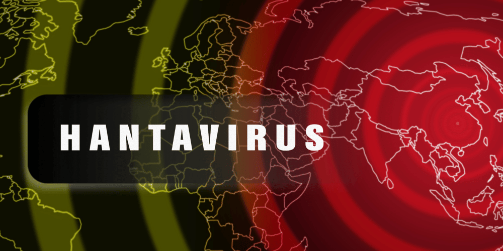 Virus Hanta
