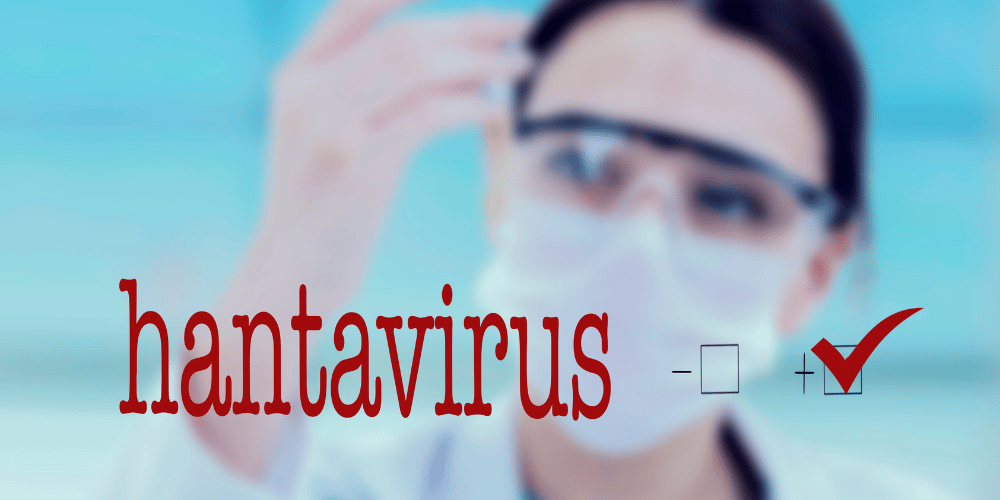 Hantavirus