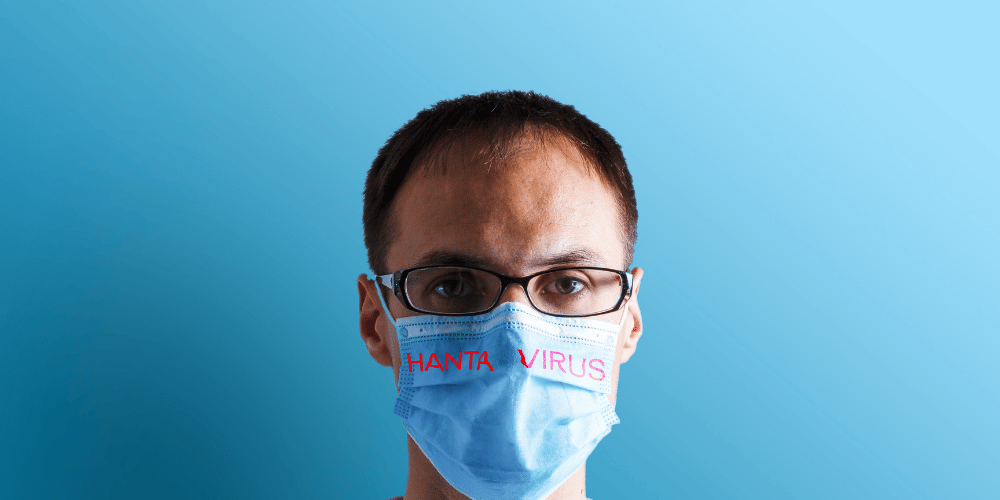 Hantavirus
